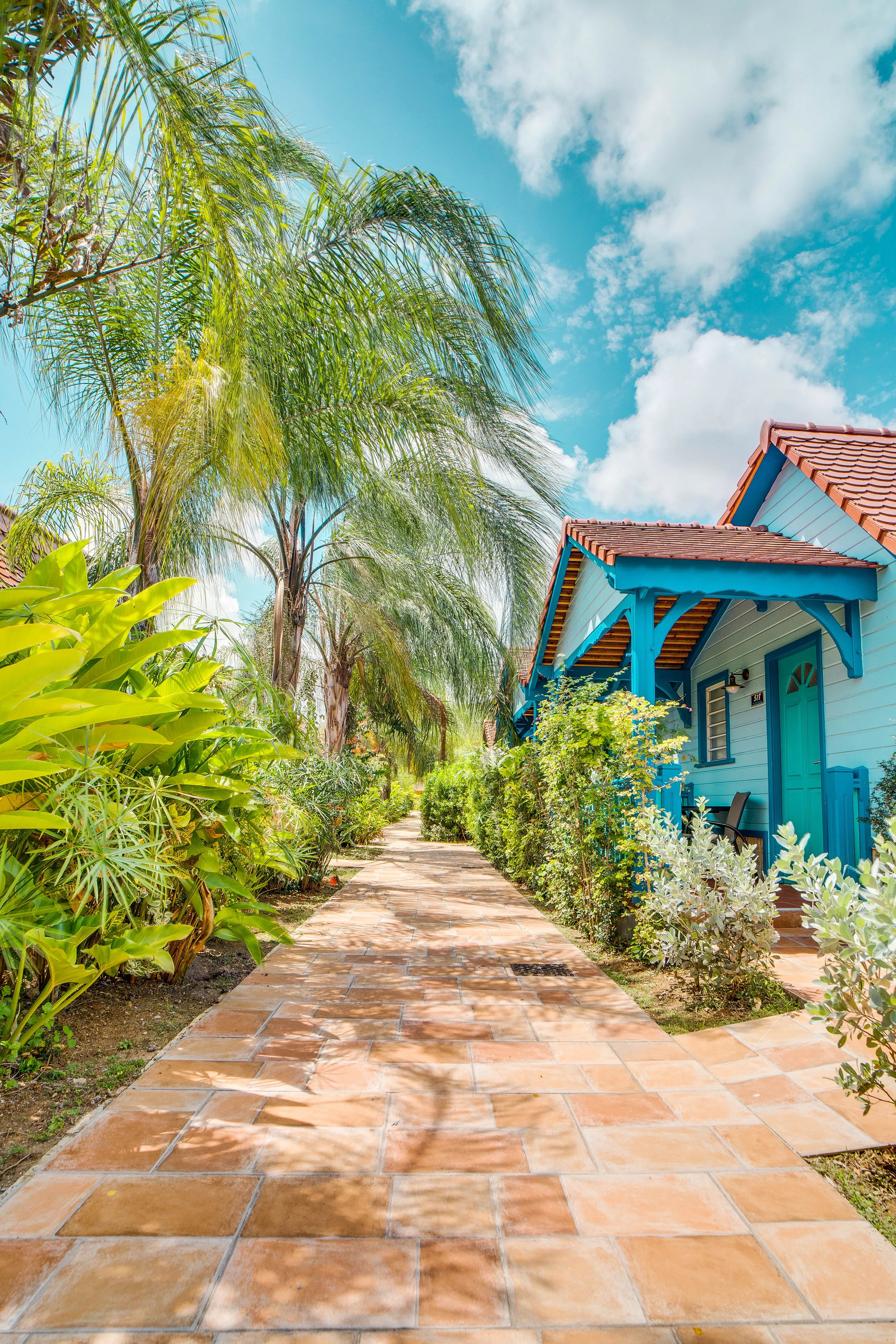 Bungalow turquoise bordé de palmiers et végétation tropicale sur chemin carrelé