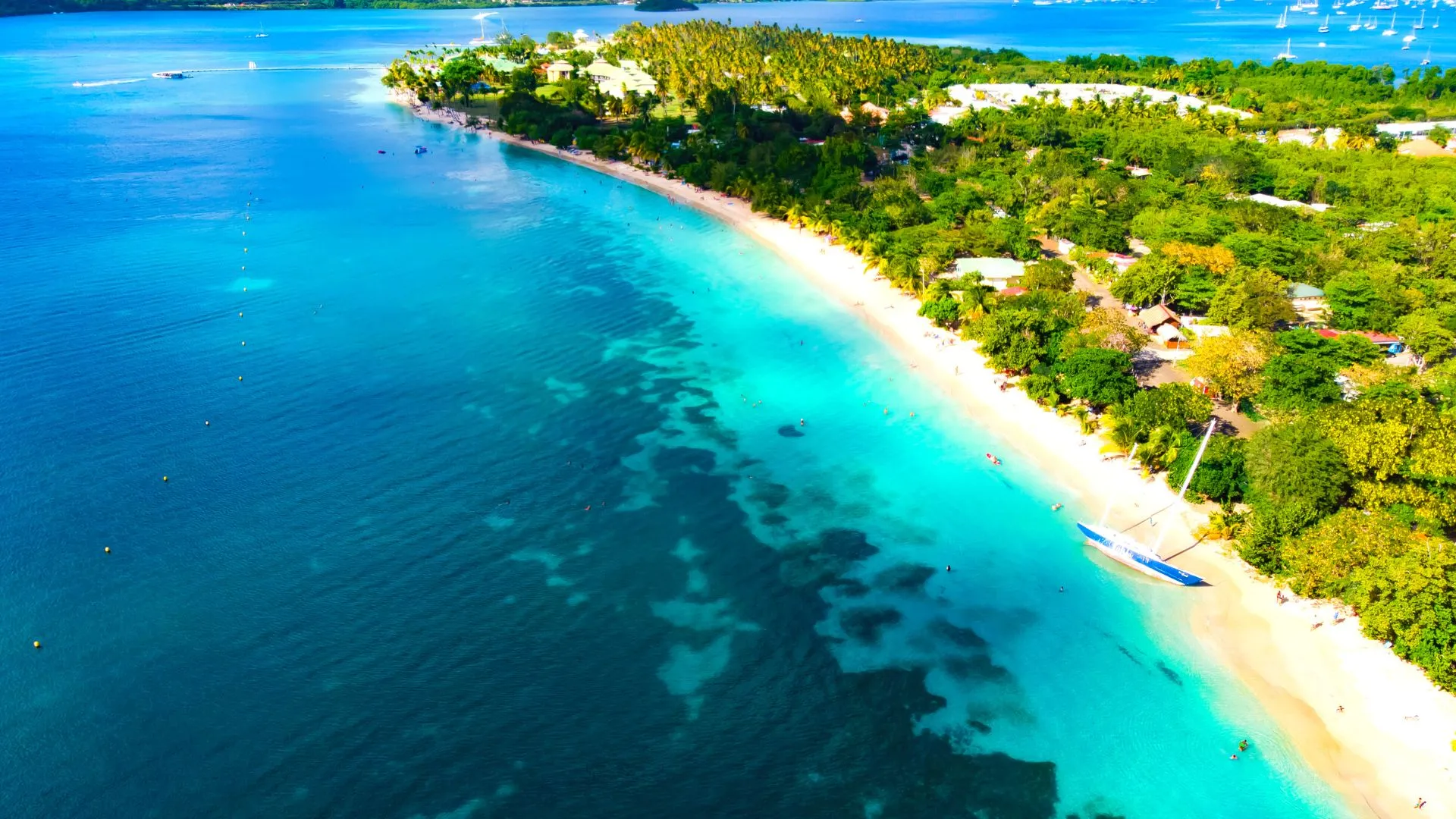 Plage de sable blanc bordée d'eaux turquoise et végétation tropicale vue aérienne