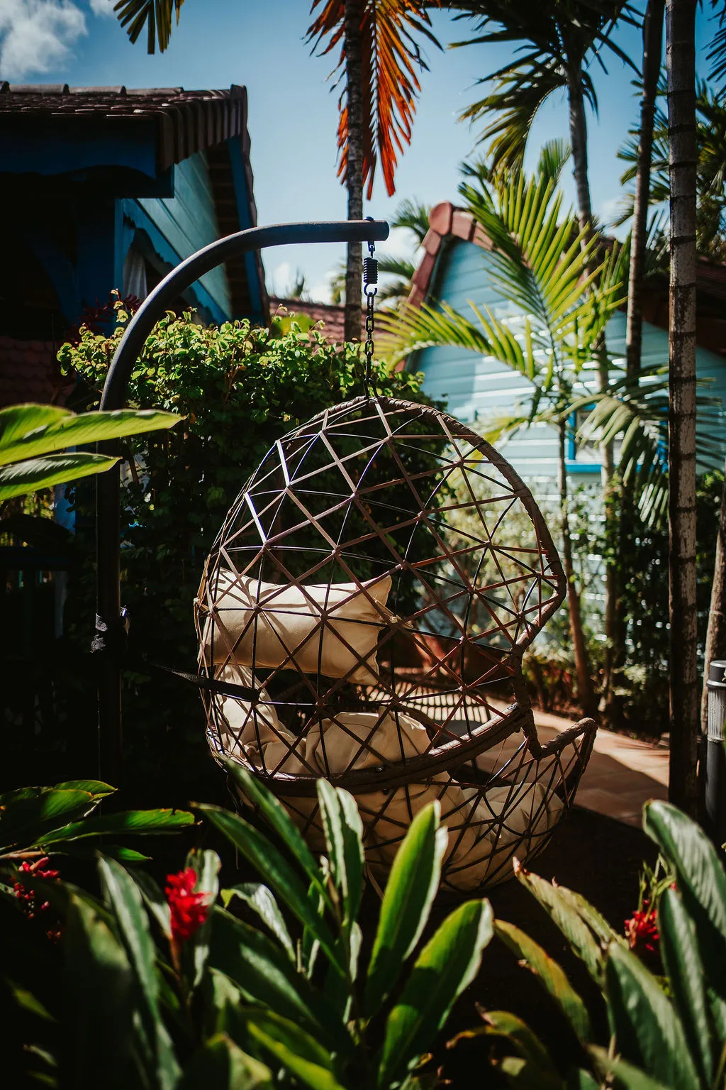 Rattan hanging armchair in a tropical garden Bamboo Resort Martinique