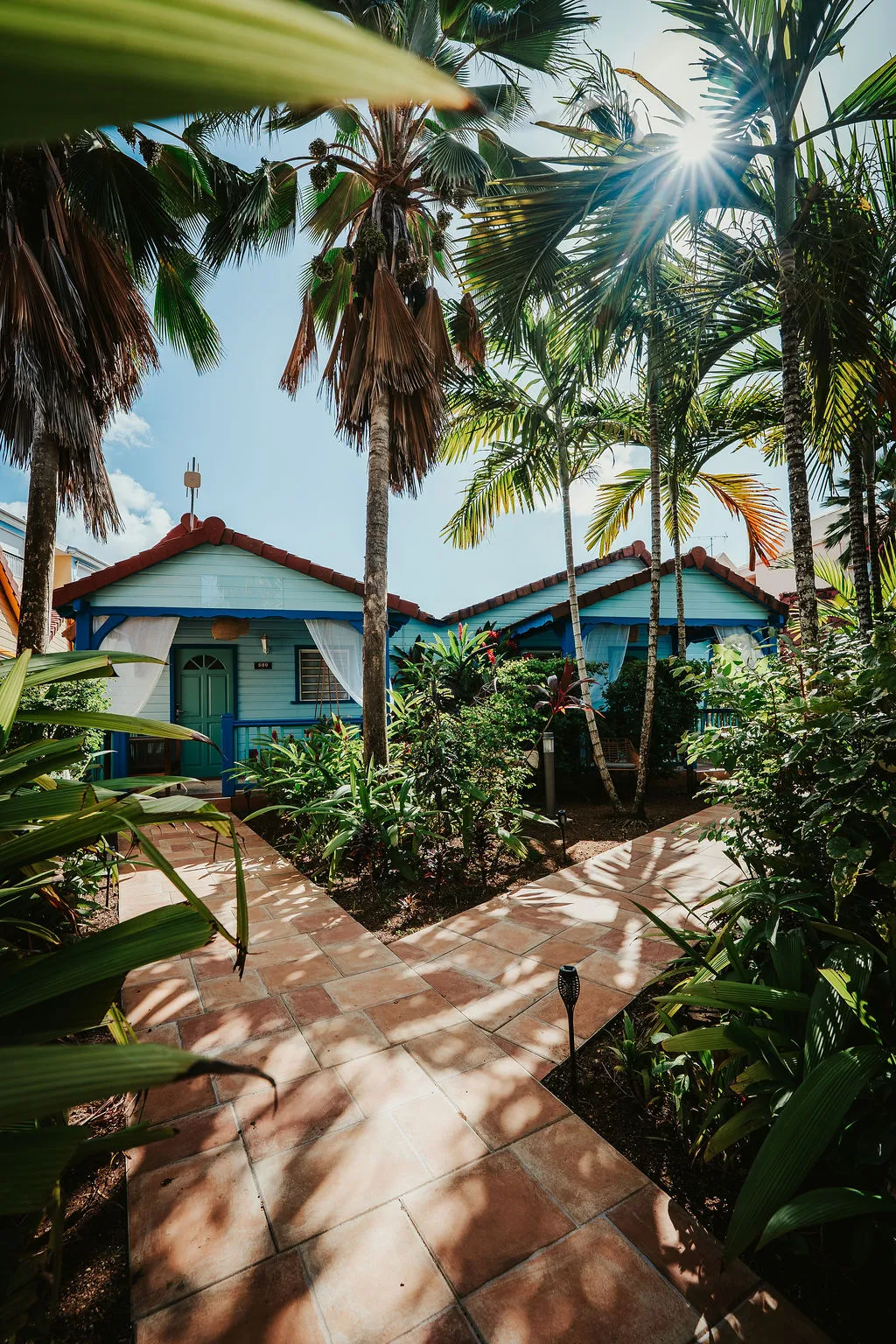 Blue bungalows under palm trees tropical garden sunny tiled path