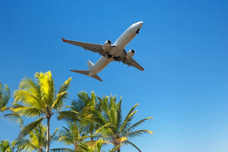 Commercial plane over tropical palm trees Martinique azure sky