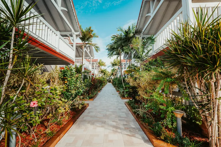 Allée tropicale bordée de chambres resort entre palmiers et fleurs aux Trois-Îlets