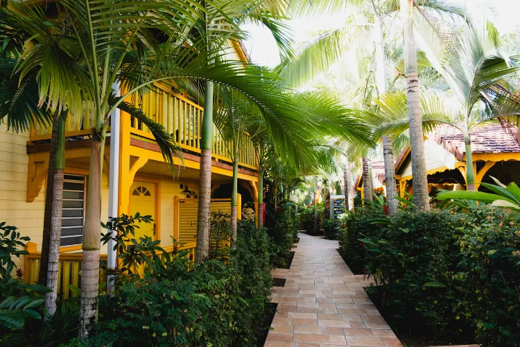 Photo Bambou Resort Martinique terrasse vue mer bungalows