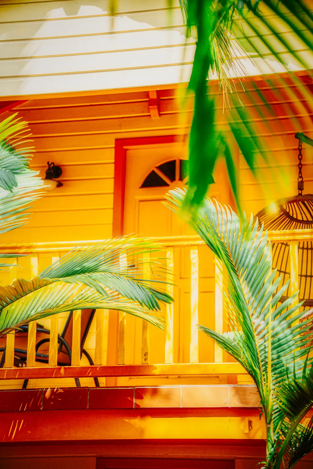 Piscine extérieure Bambou Resort Martinique palmiers transats
