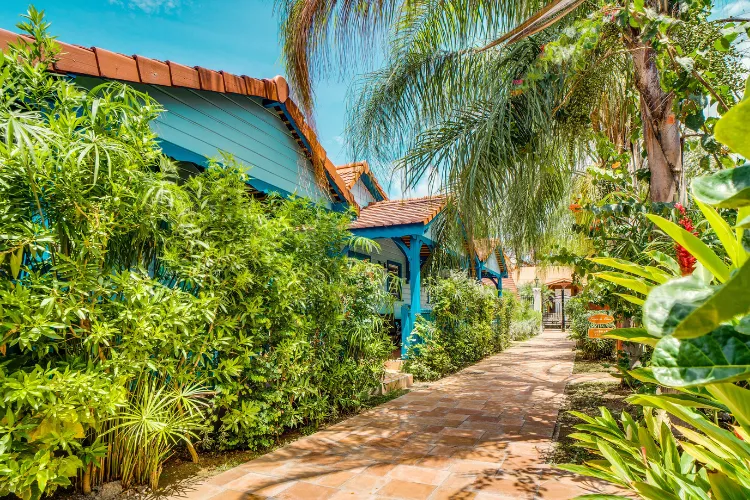Jardin tropical Bambou Resort Martinique végétation luxuriante