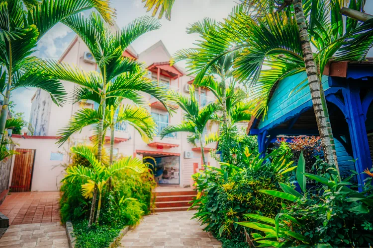 Classic room Gran Kay Bambou Resort surrounded by lush palm trees tropical terrace Martinique