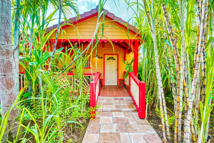 Traditional bungalow orange wood surrounded by lush bamboo red staircase Martinique
