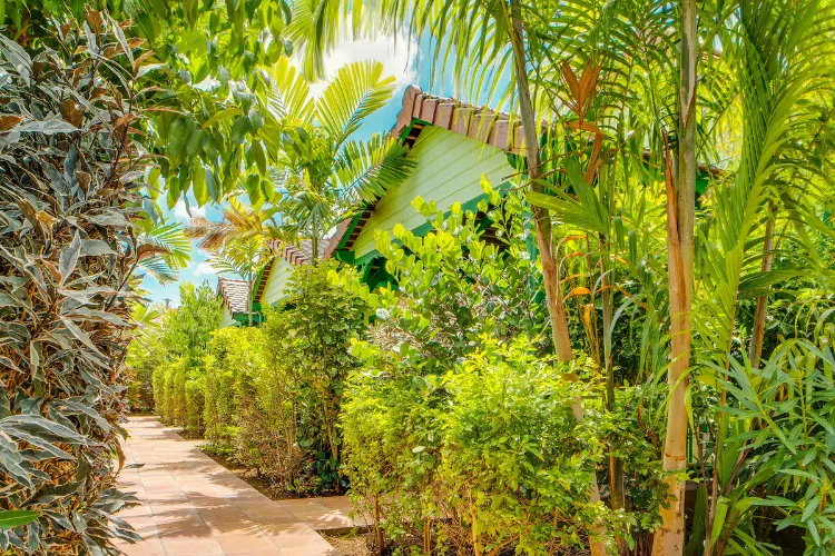 Luxury bungalow surrounded by palm trees and tropical vegetation Bambouresort Martinique