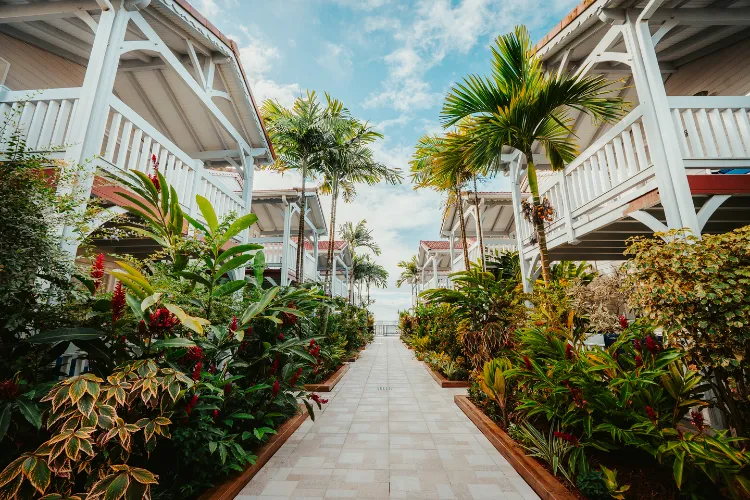 Paradise lane lined with white bungalows and lush palm trees Bamboo Resort Martinique