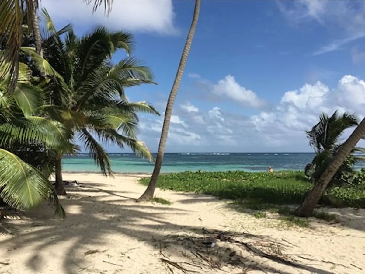 Plage paradisiaque Saint-Pierre cocotiers mer turquoise Martinique sable blanc tropical