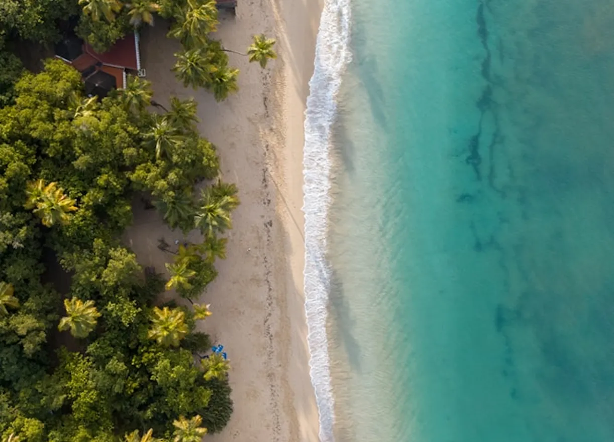 Plage paradisiaque Martinique vue aerienne palmiers eau turquoise Bambou Resort