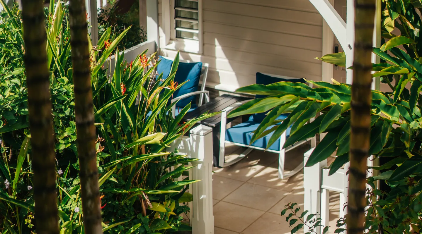 Tropical terrace Bambou Resort blue armchairs and lush vegetation Martinique
