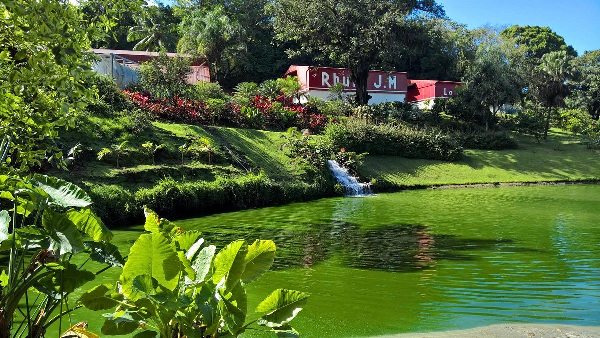 Rhum JM Martinique