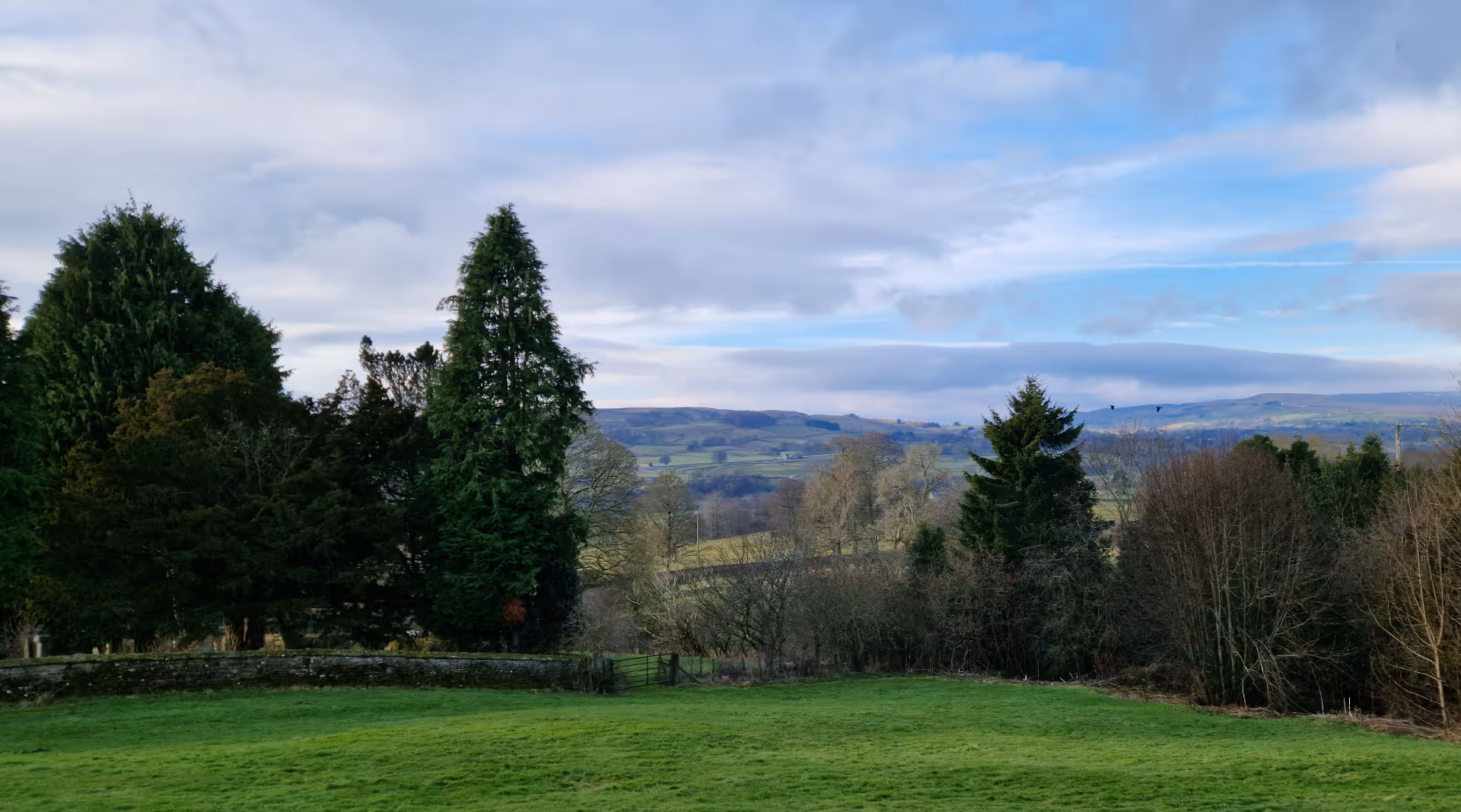 view south from behind church