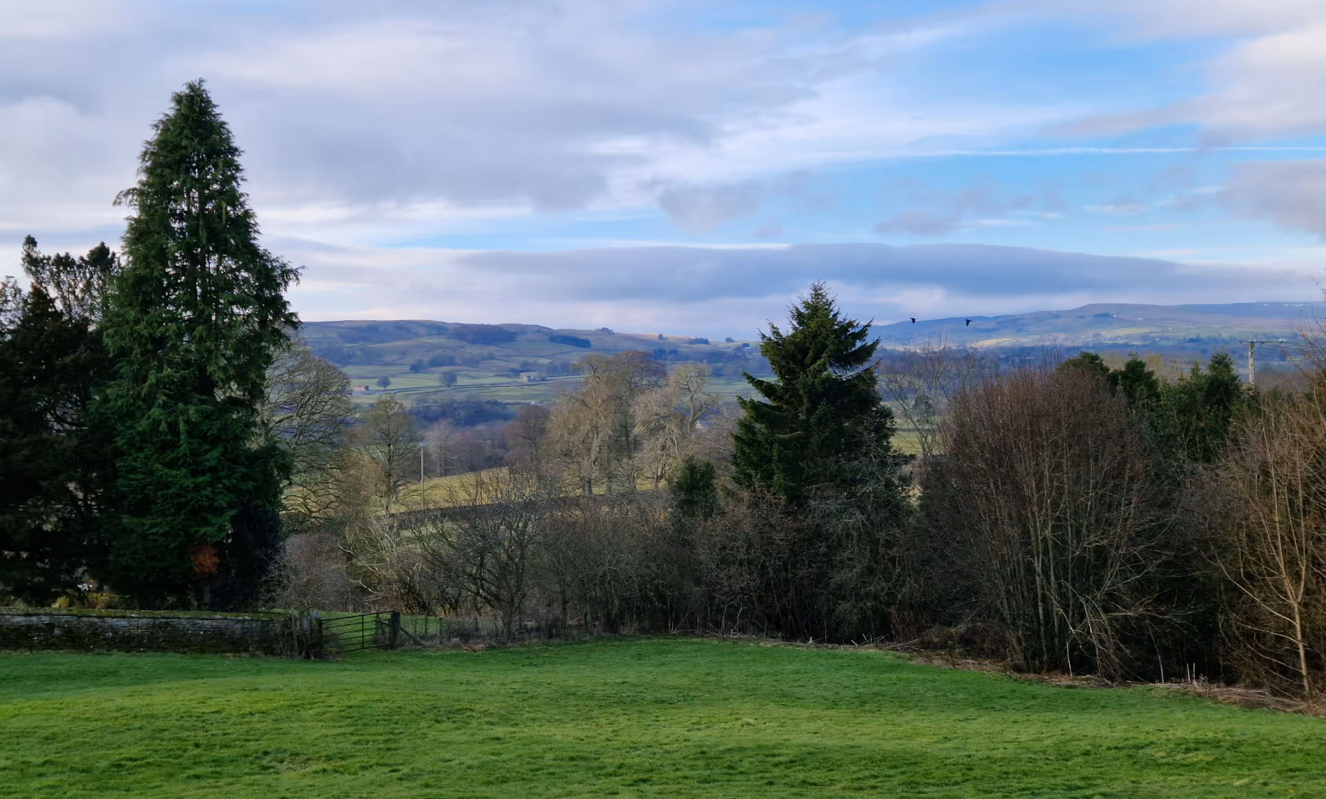 view south from behind church