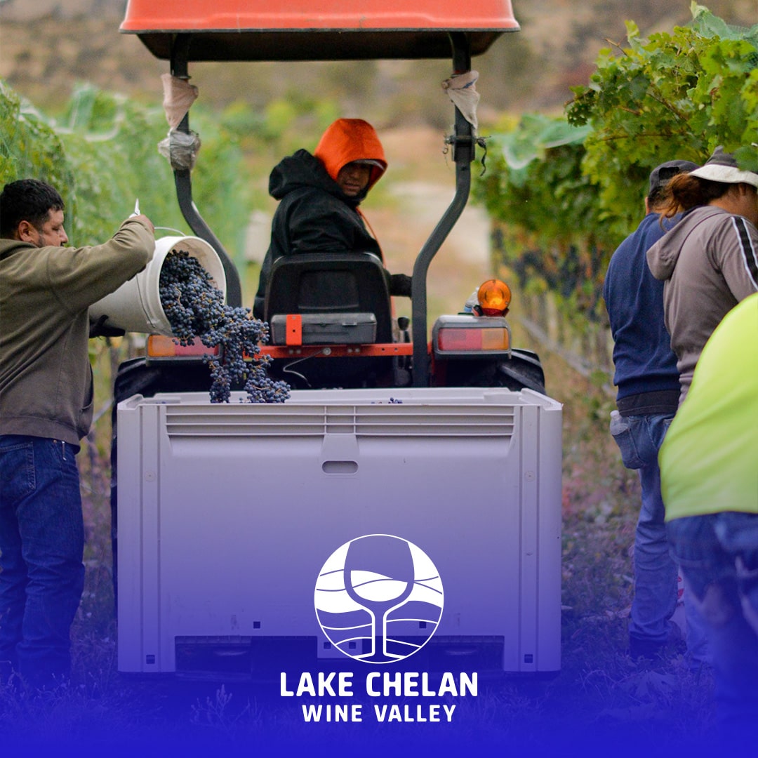 Lake Chelan Wine Valley