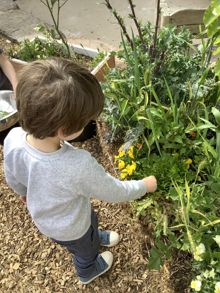 Children exploring a nature-focused outdoor space at Maples