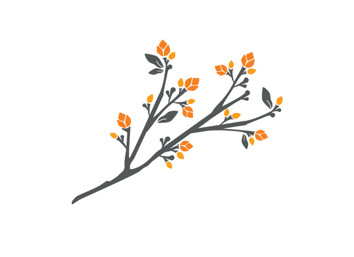 Buds room illustration