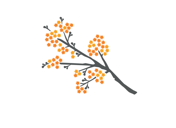 Blossoms room illustration