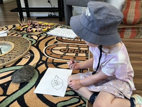 A child drawing a real turtle