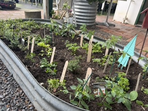 The Kilmore garden