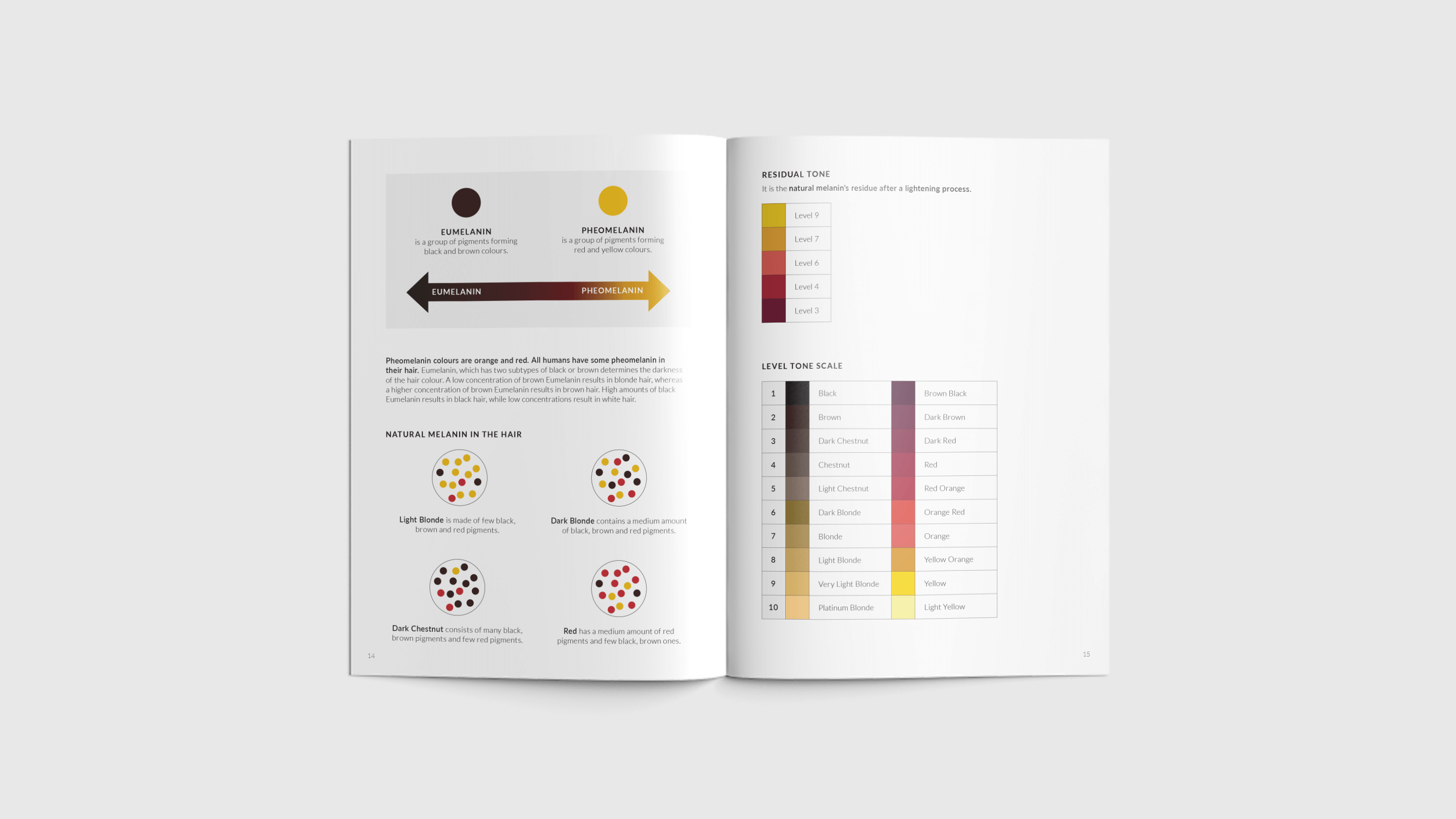 A spread of pages from the Inebrya Technical Manual.