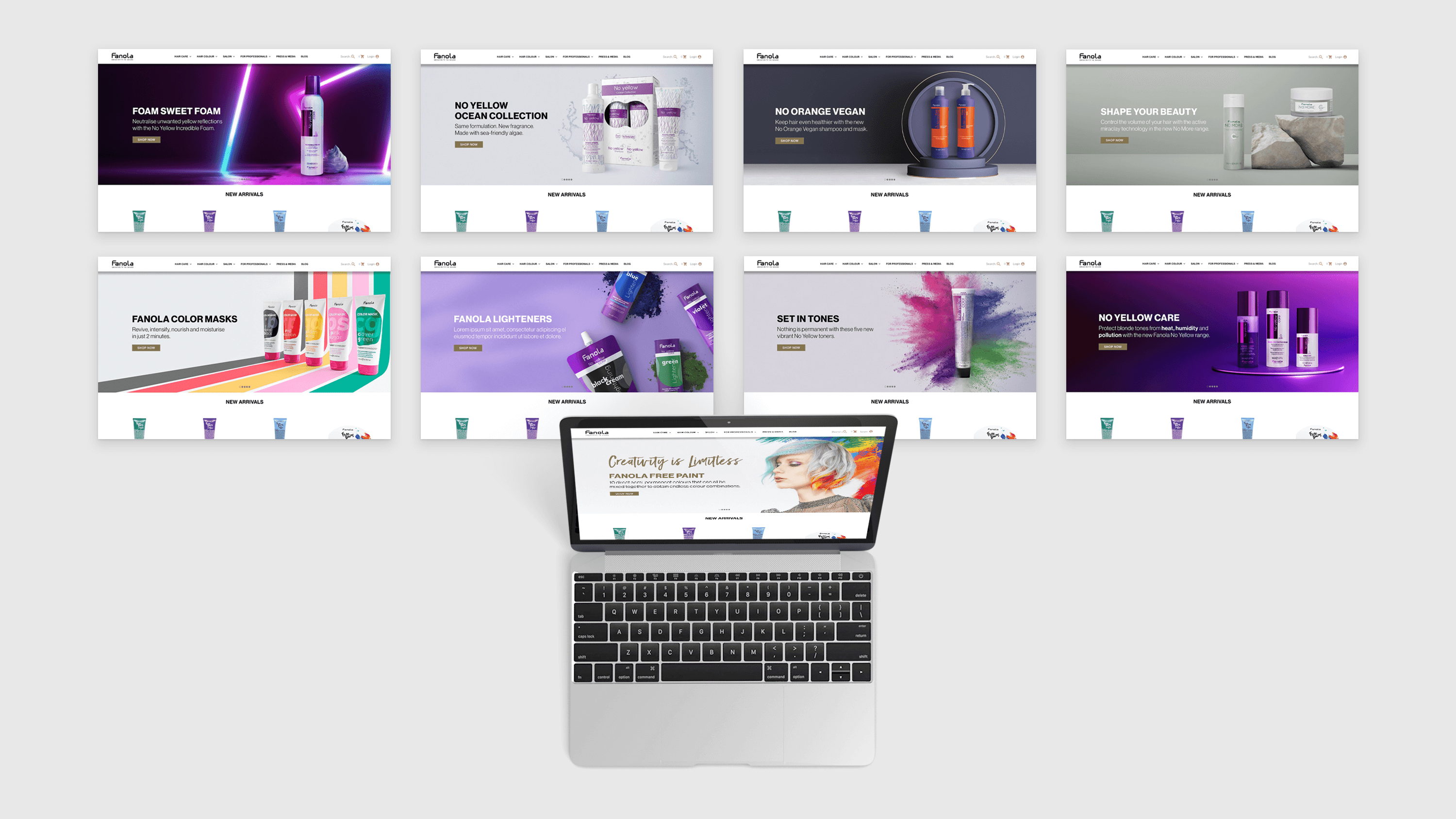 A showcase of multiple desktop banners for the Fanola website, based on various products.