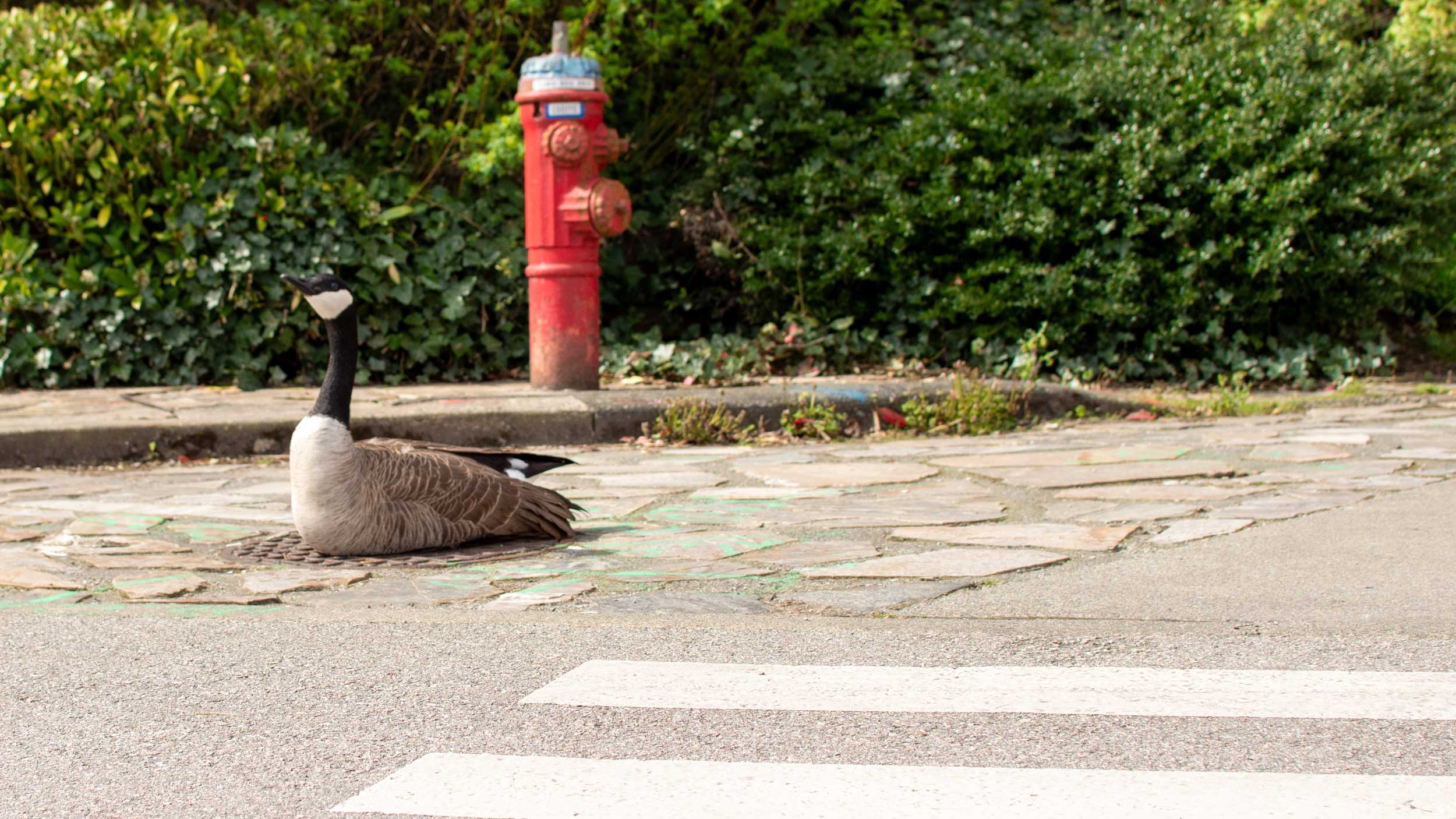 A photo of the city of Medellín, Colombia