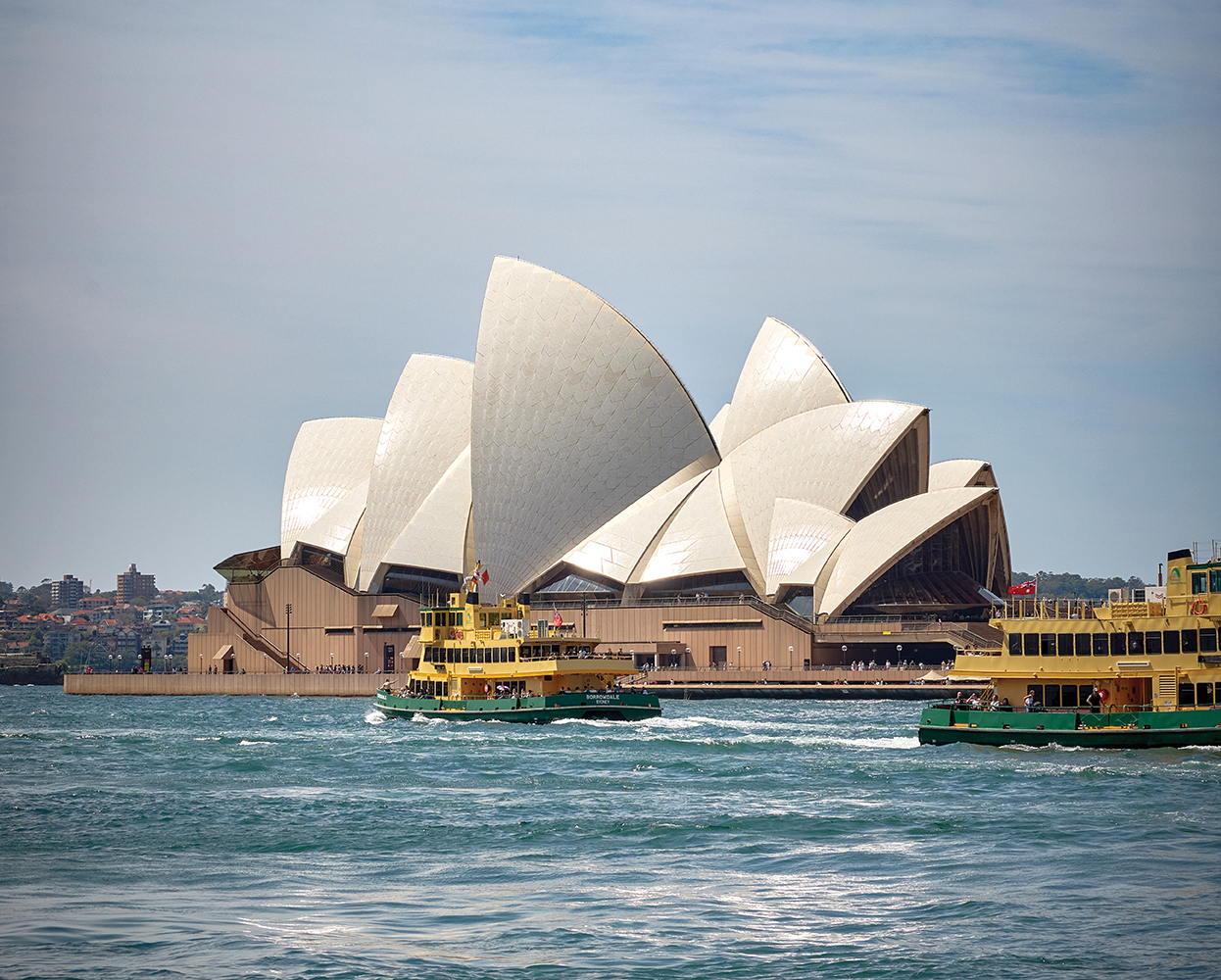 Verdical Bondi Junction branding inside property brochure, showcasing premium commercial development identity at 88 Ebley Street.