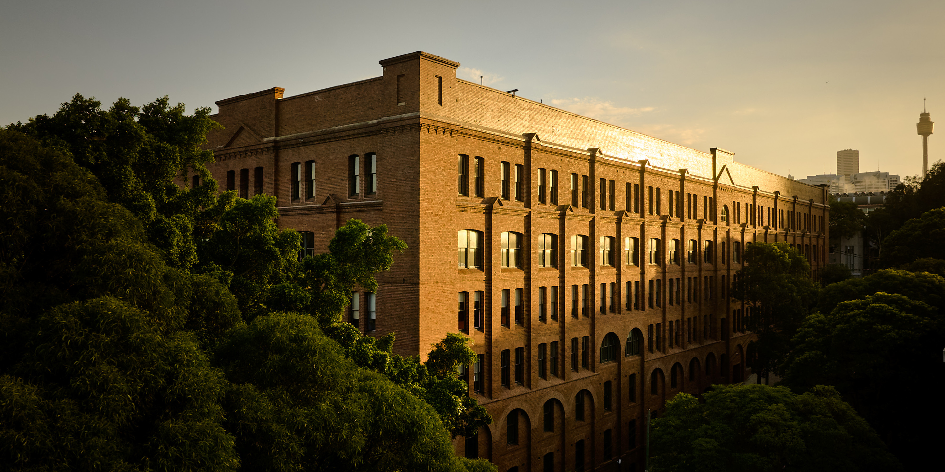 Exterior view of Surry Hills House Australia, modern office and dining space with large windows and vibrant street scene at dusk.