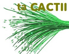 Cactii