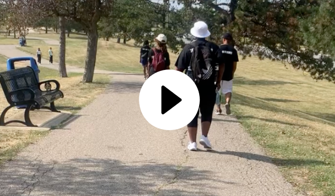 strawberry pastry cake