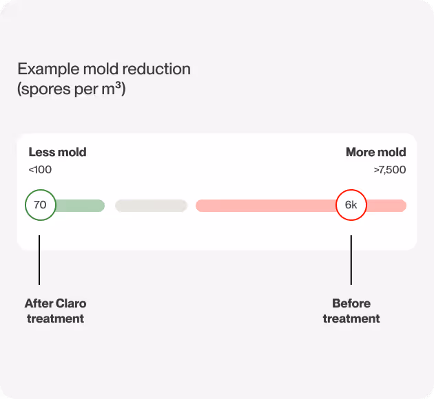 Unmatched mold remediation