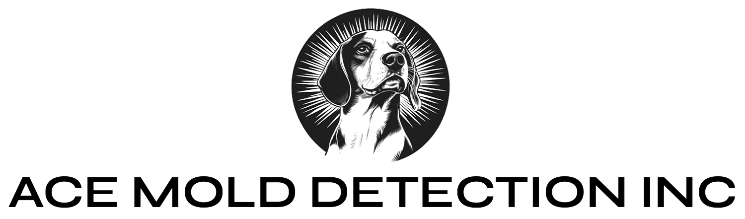 Sanctuary Functional Medicine logo
