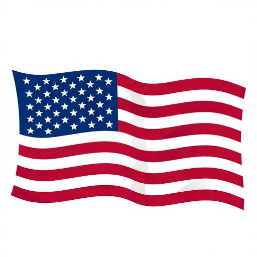 American flag illustration