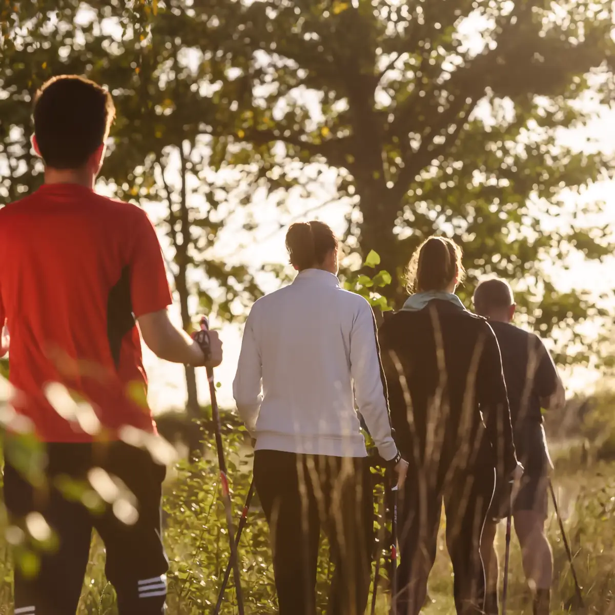 Eine Gruppe von Patienten geht hintereinander her. Alle haben Walking Stöcke.
