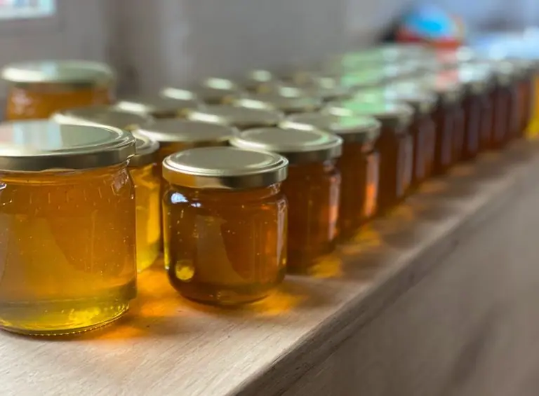 Einige Honiggläser stehen in zwei Reihen aufgereiht nebeneinander.