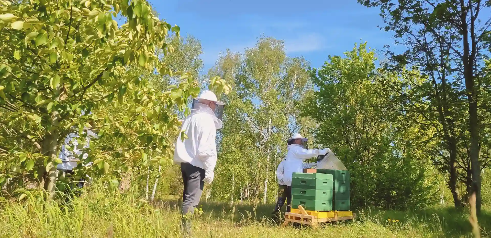 Mehrere Imker befinden sich bei einem Bienenstock