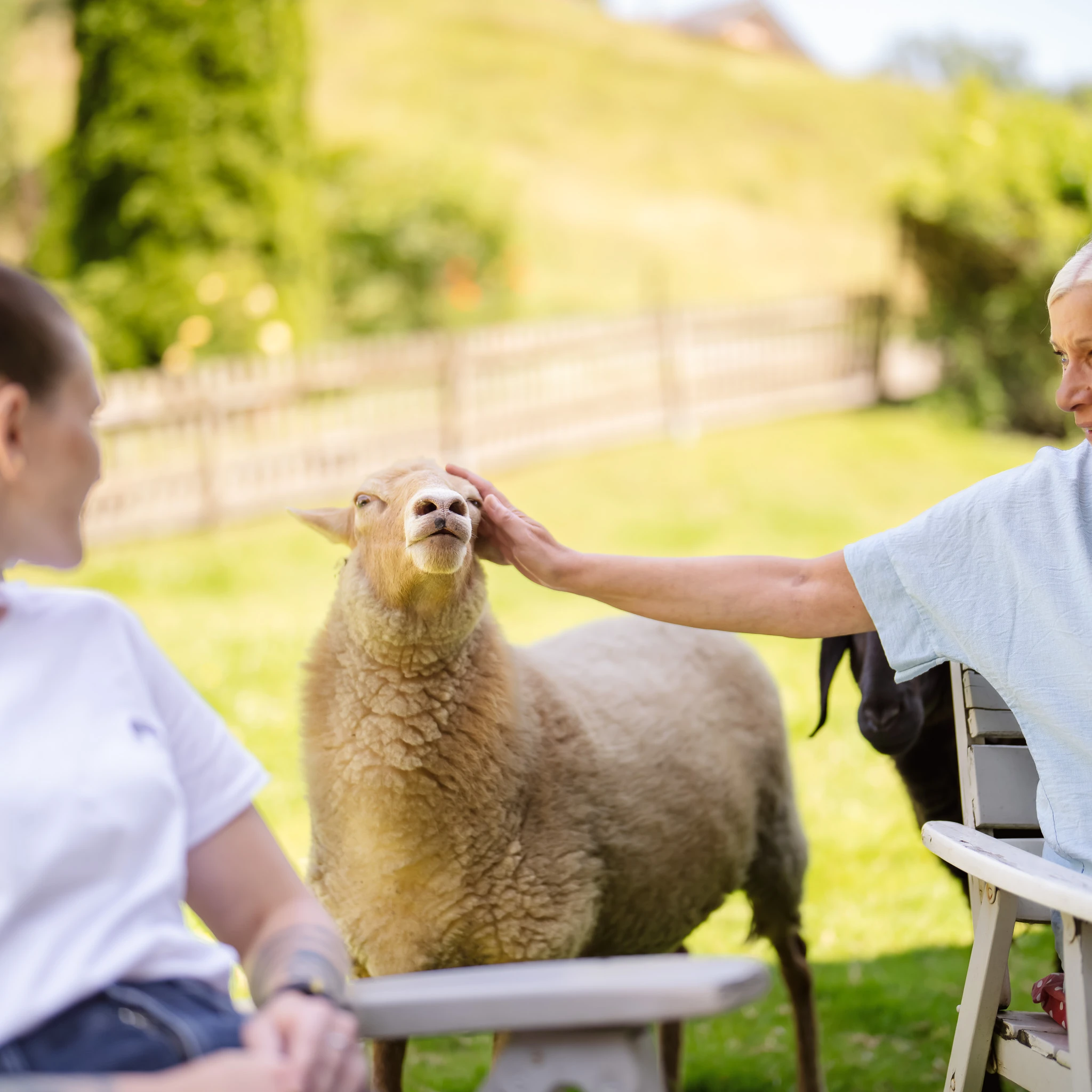 Eine Patientin streichelt ein Schaf am Kopf.