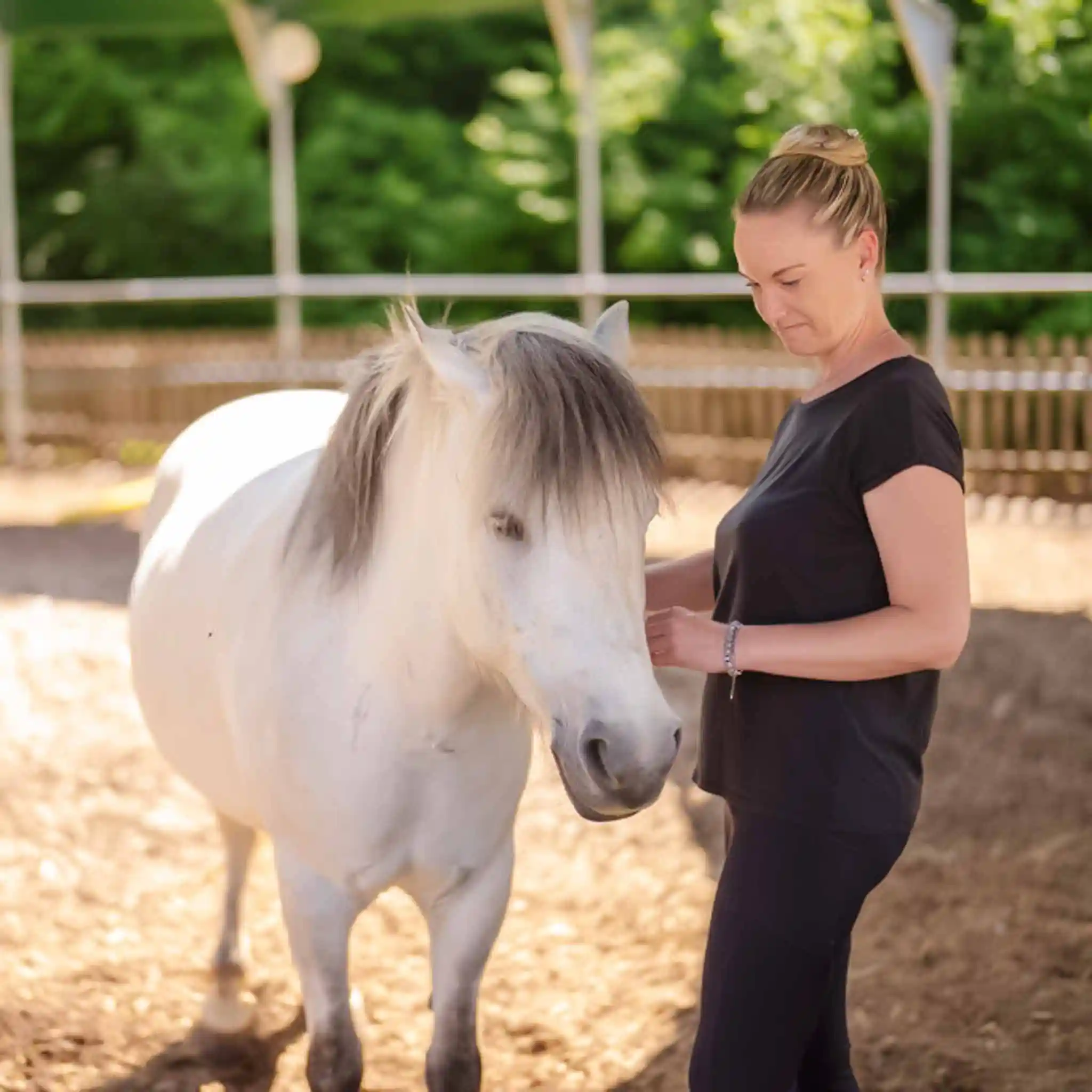 Ein Pferd wird von einem Mann an den Nüstern gestreichelt.