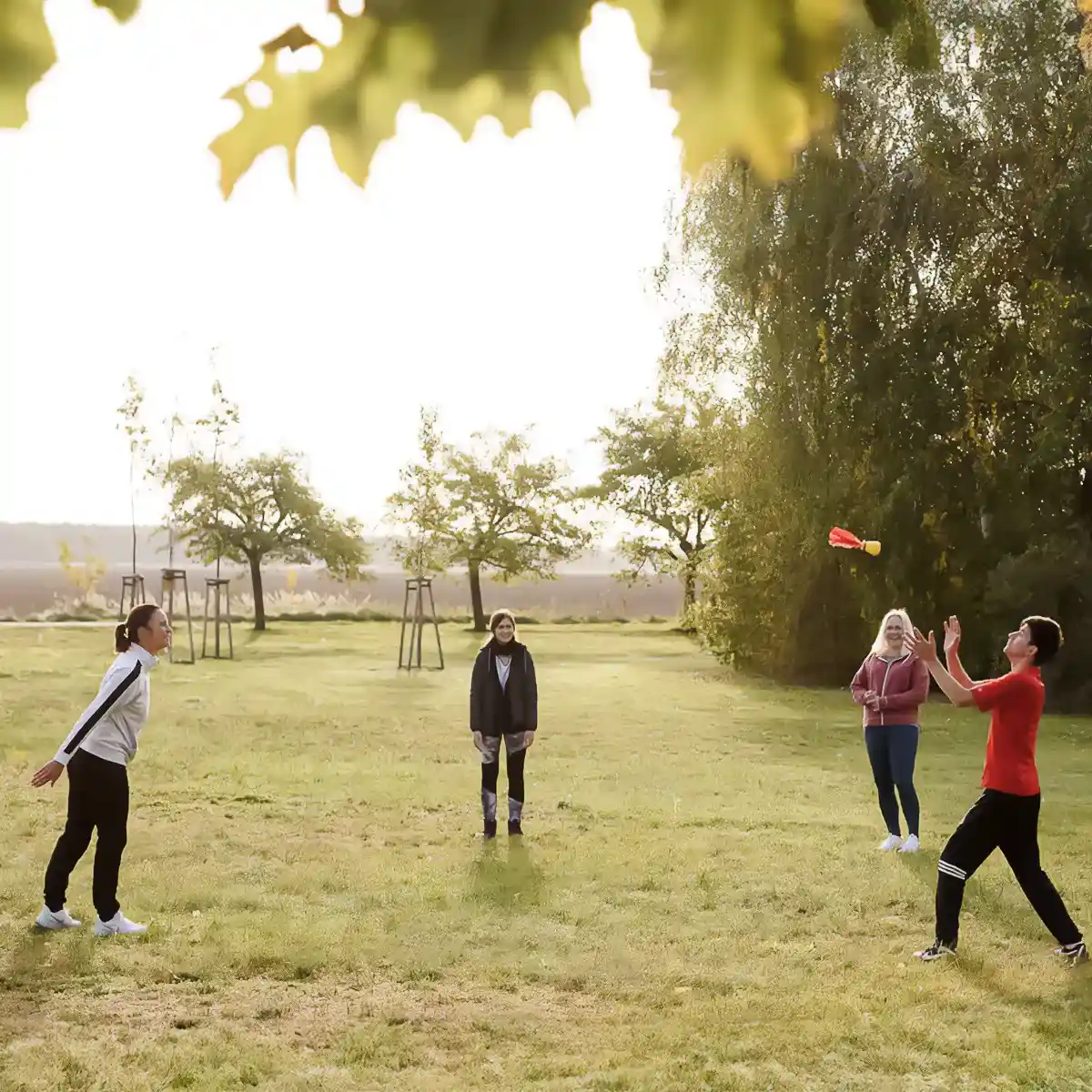 Mehrere Patienten spielen auf einer Wiese ein Ballspiel.
