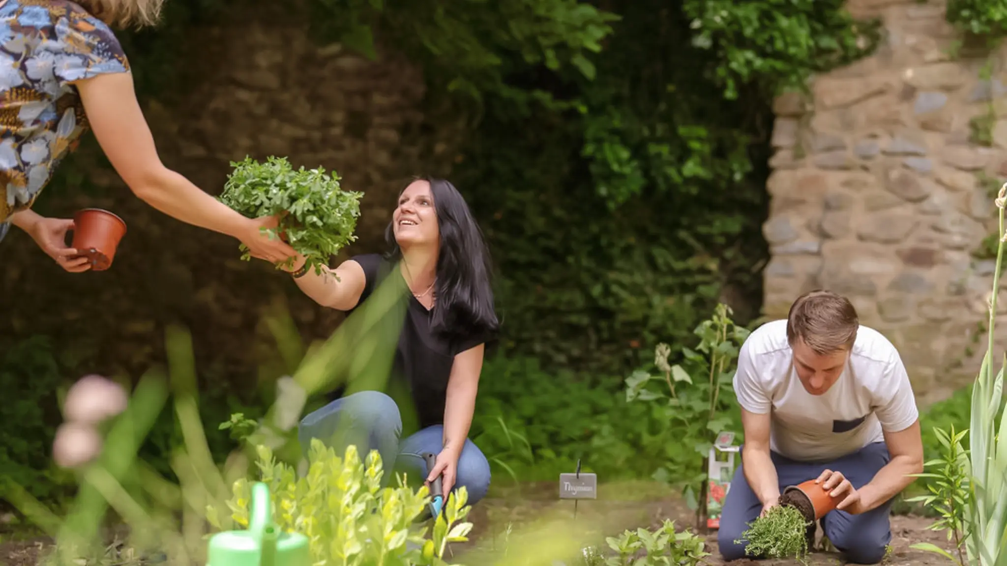 Eine Patientin bekommt einen Kräuterstrauch zum Einpflanzen gereicht.