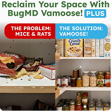 Vamoose! product image 7