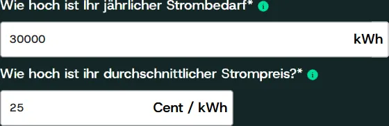 Ausschnitt der Gridty-Software: Eingabefelder für jährlichen Strombedarf und durchschnittlichen Strompreis.