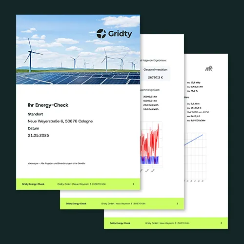 Beispielauszug des individuellen Gridty Energy Reports.