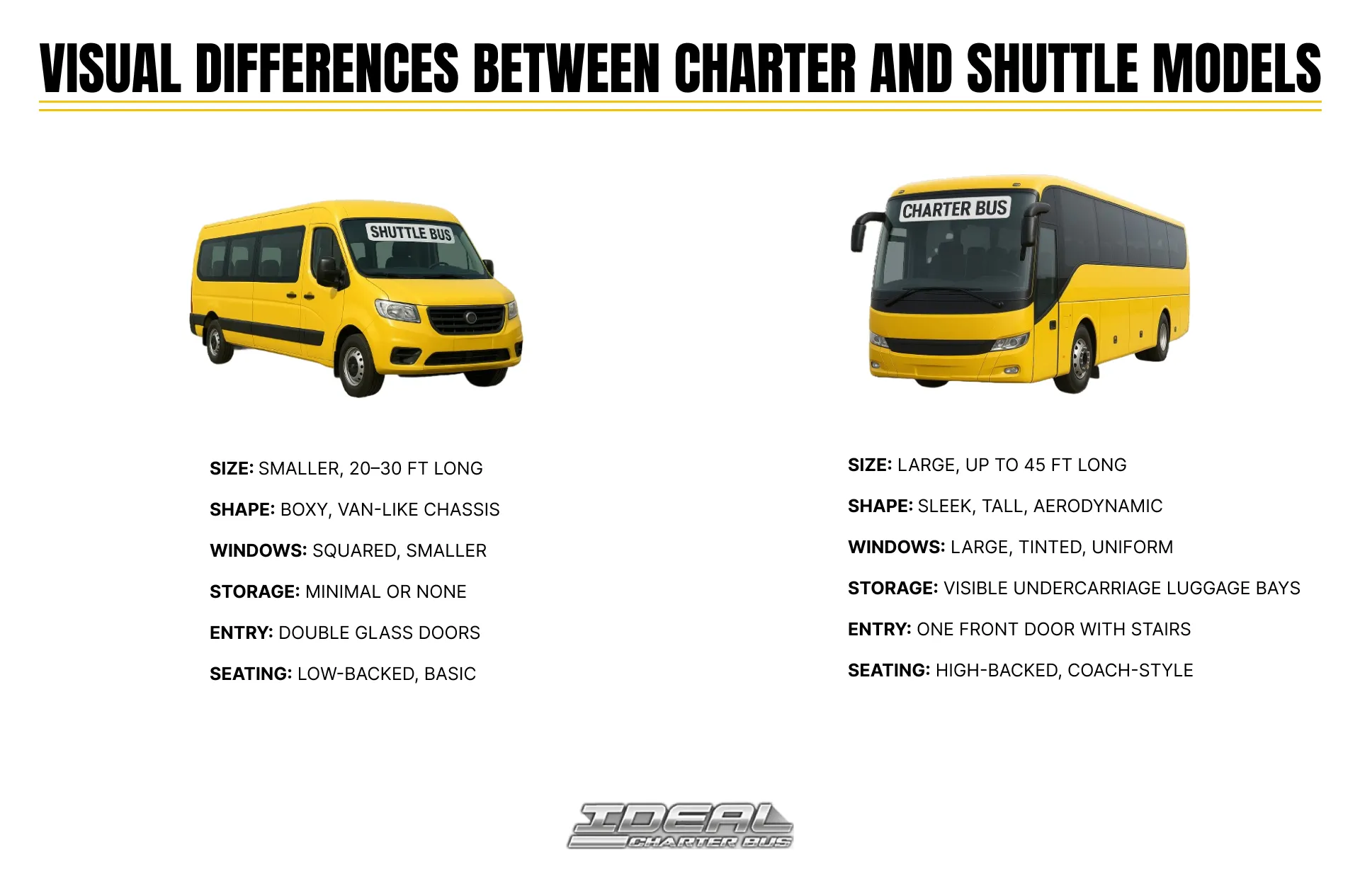 Key Visual Features that Set Buses Apart