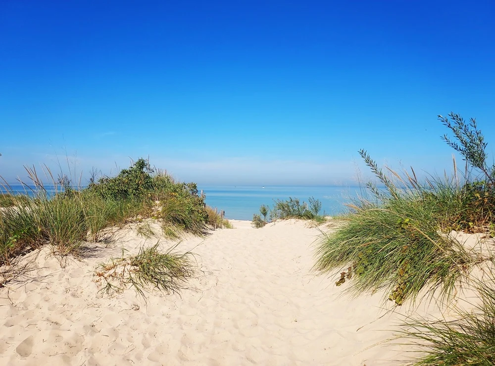 Miller Beach District