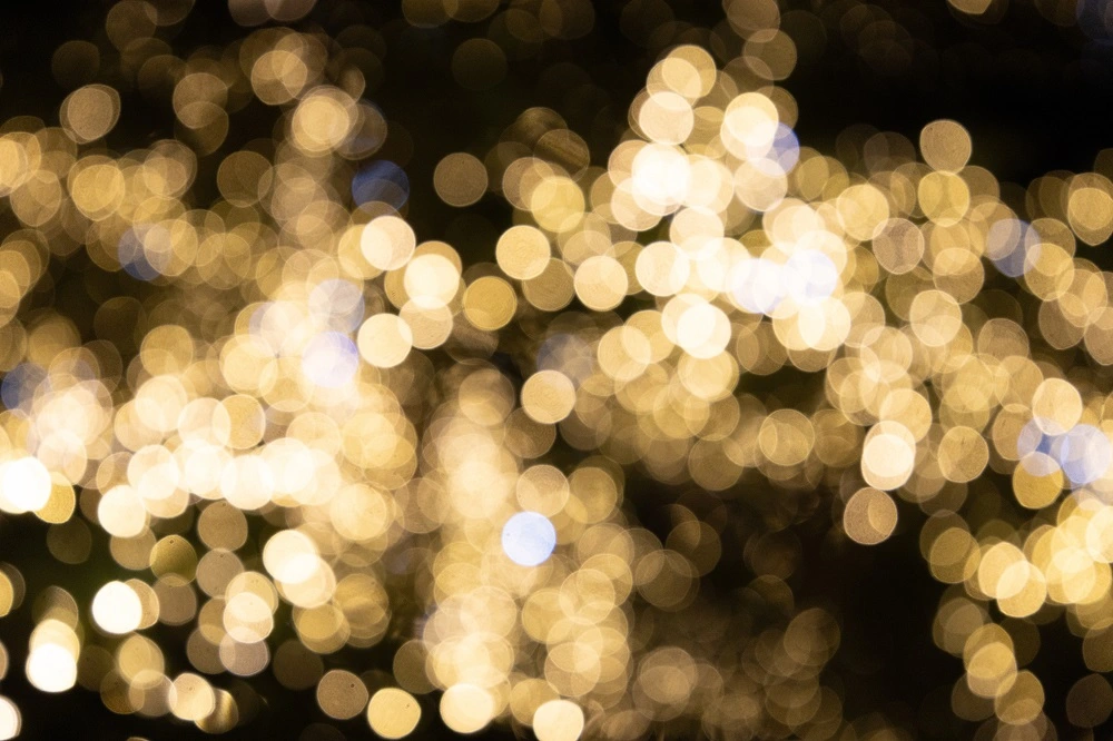 chicago holiday lights tour