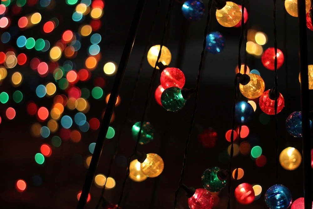 chicago christmas lights tour