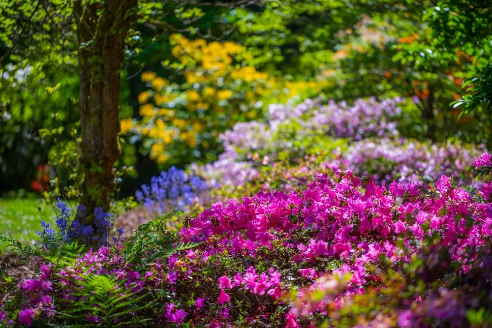 Washington Park Botanical Garden